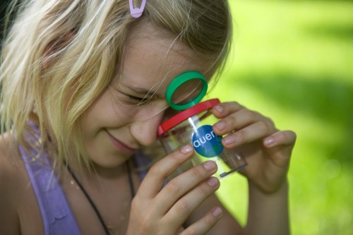 nationalpark-donau-auen-kindergeburtstag1.jpg