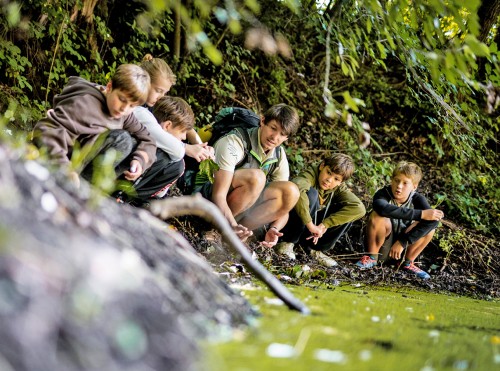 nationalpark-donau-auen-kindergeburtstag2.jpg