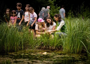 nationalpark-donau-auen-familientag-neu.jpg