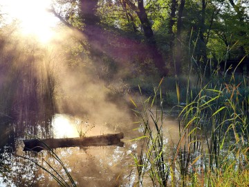 nationalpark-donau-auen-gruppen_schlossinsel.jpg