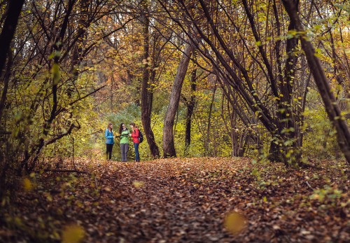 nationalpark-donau-auen-npwandern1.jpg