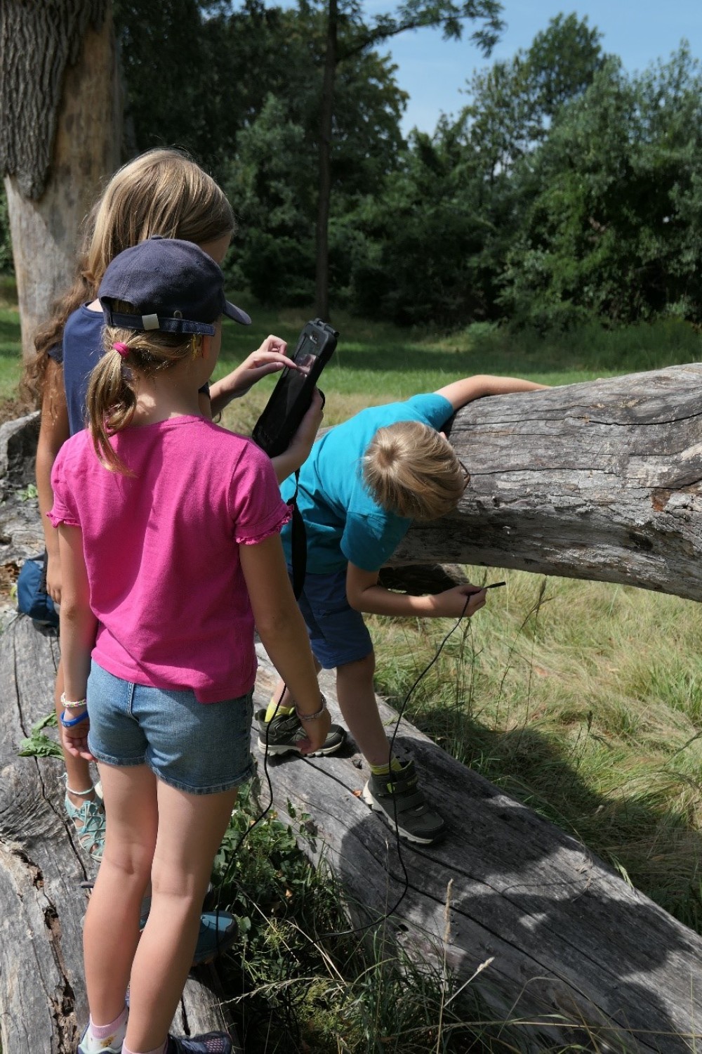 /assets/blog/20240802_berichtklara/nationalpark-donau-auen-11.jpg