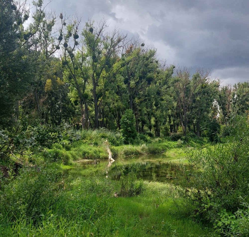 /assets/blog/20240802_berichtklara/nationalpark-donau-auen-6.jpg