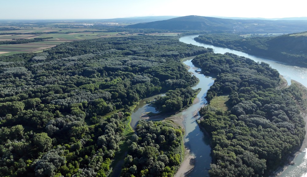 /assets/blog/20240903_libellennachweis/nationalpark-donau-auen-libelle1.jpg