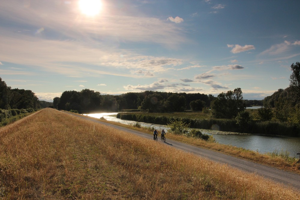 /assets/blog/20240915_johannaspraktikum/nationalpark-donau-auen-radfahren,-kern.jpg