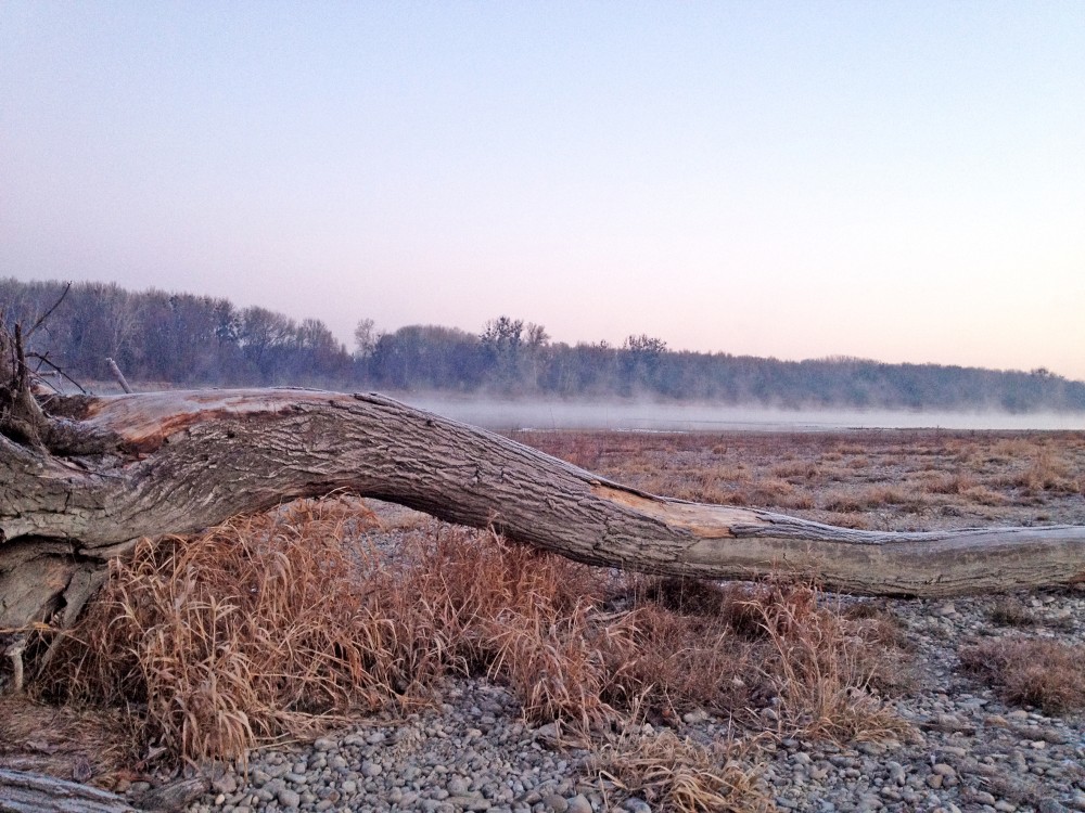 /assets/blog/20241125_nebel/nationalpark-donau-auen-nebel_-(3).jpg