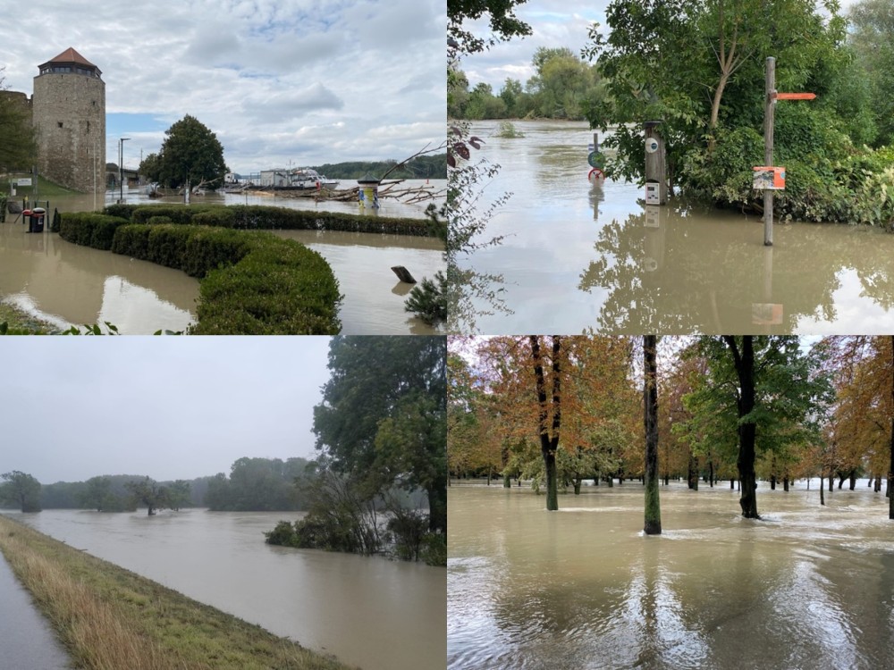 /assets/blog/20241212_lukaspraktikum/nationalpark-donau-auen--09_hochwasser_1.jpg