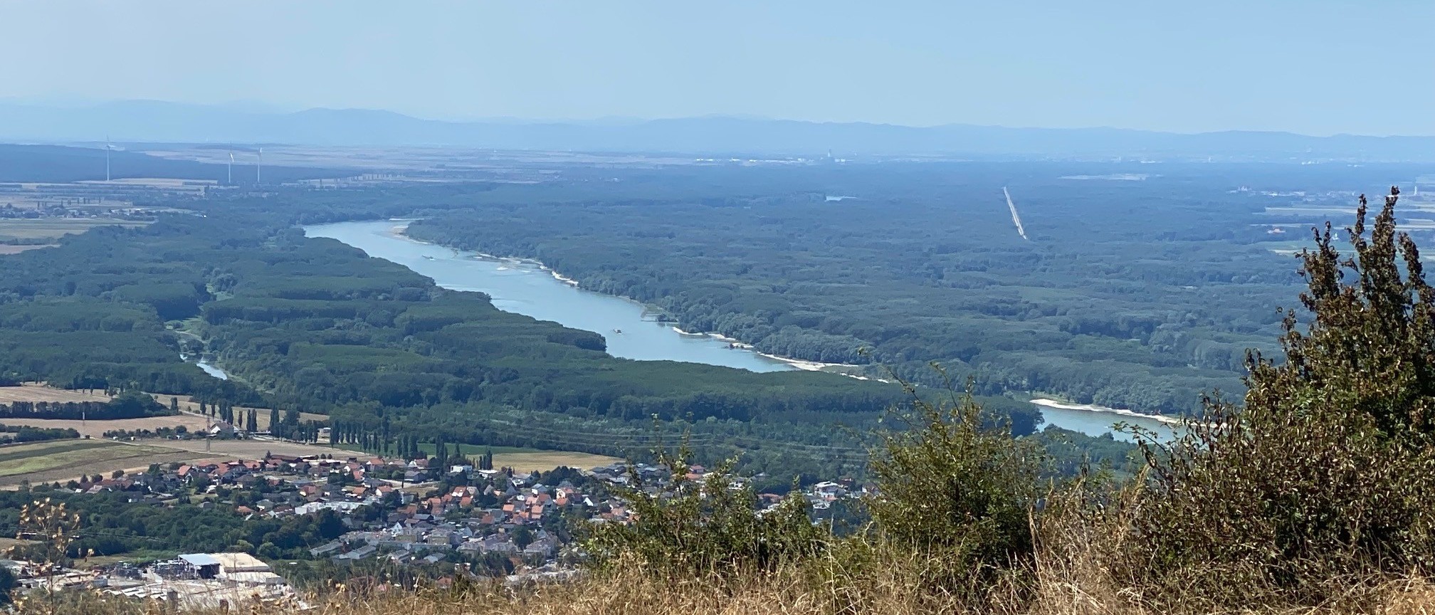 nationalpark-donau-auen-header.jpg