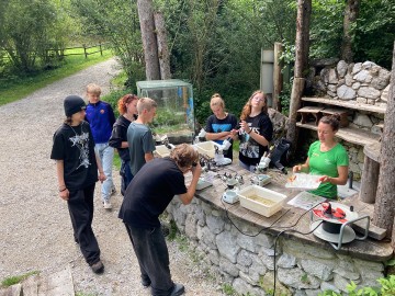 nationalpark-donau-auen-junior-ranger-camp3.jpg