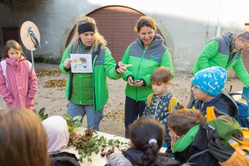 nationalpark-donau-auen-kinderuni1.jpg