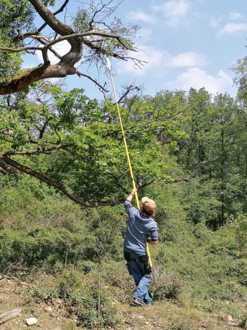 nationalpark-donau-auen-handfang,-sandra-aurenhammer.jpg