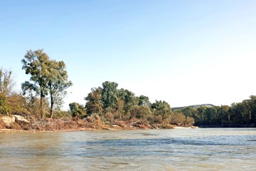 nationalpark-donau-auen-spittelauer-arm,-ossenbrink.jpg