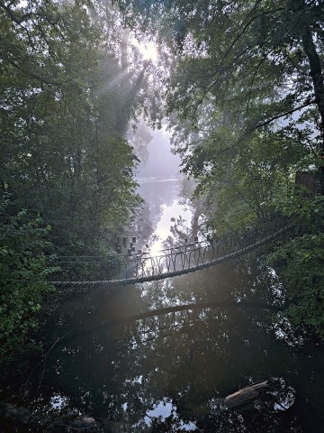 nationalpark-donau-auen-fadenbach-schlossinsel,-dragon.jpg