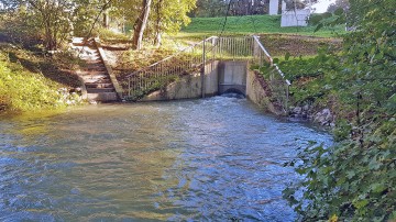 nationalpark-donau-auen-orther-siel,-schneeweihs.jpg