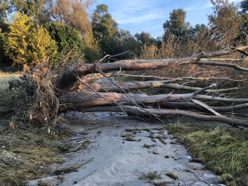 nationalpark-donau-auen-nach-hw.jpg